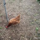 가보농장 이미지