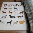 바우개펜션 이미지