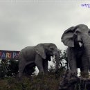 아프리카 박물관 이미지