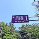 라라랜드 애견펜션
