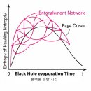 블랙홀 정보 역설 - Page Curve 이미지