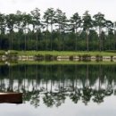 비비헬스클럽 이미지