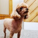 흥해목욕탕 네이버블로그