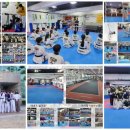 KA태권도체대입시 태권도장 이미지