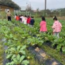 해오름유치원 이미지