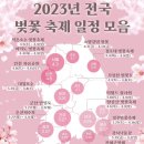 2023년 전국 벚꽃 축제 일정 모음 이미지