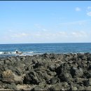 풀잎목장 이미지