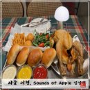 호텔사운즈 | [서울 여행] 사운즈오브애플 | 브런치카페 강남역 맛집 추천 치킨플래터 소개 및 후기