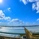 재주농장 이미지