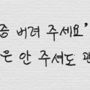 세무법인솔영종지사 이미지