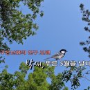 조은영, 김일호 선생님의 자연 다큐 영상 ＜박새, 푸른 오월을 날다＞ 이미지