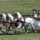 푸른연세치과의원 네이버블로그