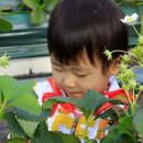 보민농장 이미지