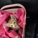 이서메디칼 이미지