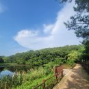 장릉 | 김포 장릉 후기(주차,영업시간,입장료)