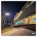 의왕 롯데 타임빌라스 무민공원 경기도 크리스마스트리명소