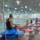 키즈웨일 수영장 | 송도 어린이 수영장 키즈웨일 6개월 다닌 후기