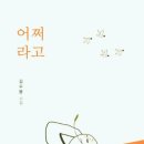 상상마당 라이브홀 이미지