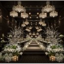 Wedding 1) 메종드아나하 상담 후기 및 견적공유