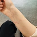자이언트파마 | 5월은 푸르다