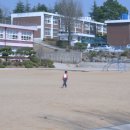 신북초교 Daum카페