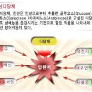 진산인삼