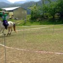 경주목장 이미지