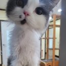호텔레오 이미지