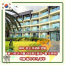 가을호텔 | 제주 가성비 최고 숙소 추천, 봄 그리고 가을리조트 호텔 이용후기
