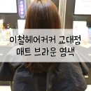피어라헤어 이미지
