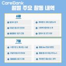 늘보미 이미지