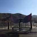 곡성생태체험관 | 곡성 증기기관차 타는법 열차시간 겨울에 가볼만한 곳