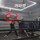 복싱 헤드기어 추천 티자형 vs 코보호 직접 써본 비교