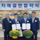 이서면사무소 이미지
