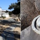 예다원찻집 이미지