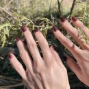 주촌굿모닝의원 이미지