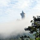 한반도 행정사사무소 이미지