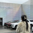 제주도 실내 전시회 : 제주홀릭뮤지엄 Jeju Holic Museum