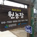 원농장 | 제주 황금향 달콤함에 빠진날