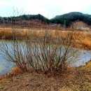 용문 119구조대 | 산림청, 한국의 산하, BAC, 월간 산이 선정 한국의 100대 명산인 팔봉산 등산 후기(2020. 04. 23.)