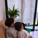 애월별땅 이미지