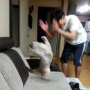 성민농장 | 간사이대 단기 어학 연수 2주차 기록이 !!