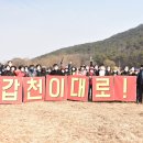 갑천우안도로 이미지