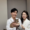 카카오N동물병원 이미지