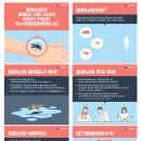 일본뇌염 바이러스 검출, 전국 경보 발령 이미지