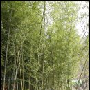 아무렴민박 이미지