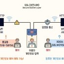 도사리