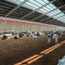 당진낙농축산업협동조합 이미지