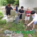 동심어페럴