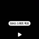 필라테스.피티.시도하다 이미지